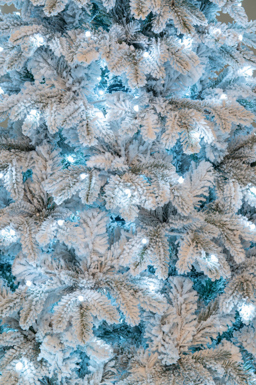 Искусственная елка Камчатская заснеженная 300 см., 840 холодных белых Led ламп., литая хвоя+пвх, ЕлкиТорг (178300)