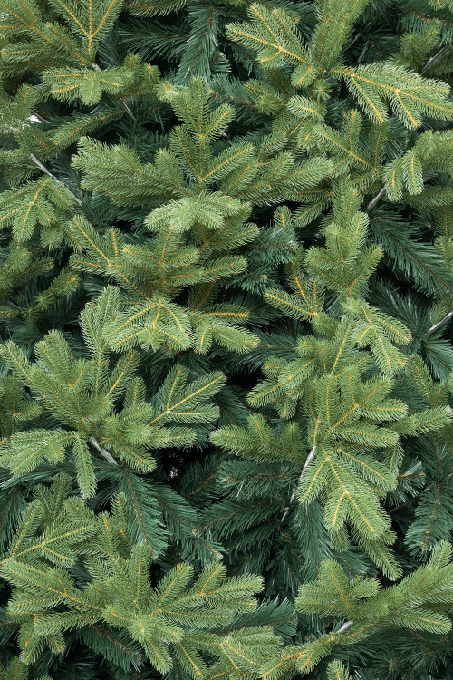 Искусственная ель Дворцовая 4 м., Литая хвоя + ПВХ, ЕлкиТорг (148400)