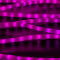 Дюралайт светодиодный 2-х проводной, диаметр 13 мм., 220В, розовые LED лампы 36 шт на 1 м., бухта 100 м., матовый, статика, Teamprof (TPF-DL-2WHM-100-240-P)