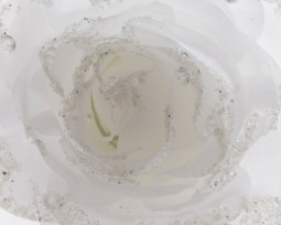 Декоративный цветок Сахарная роза белоснежная 11*8 см., Kaemingk (629346)