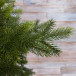 Ель Датская 215 см., 700 LED ламп, 100% литая хвоя, TreeDeLux (70058) в Санкт-Петербурге