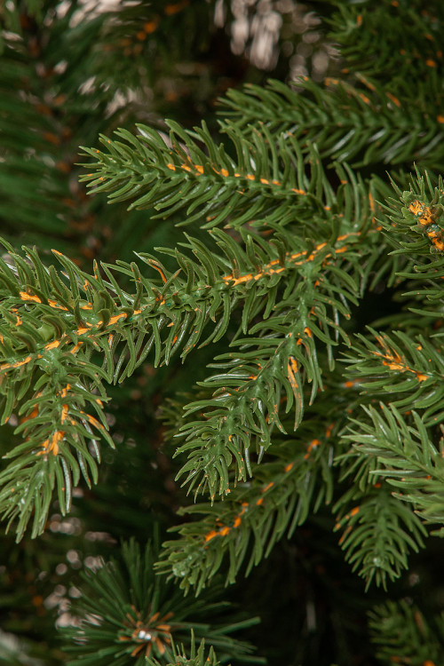 Искусственная елка Имперская 180 см., литая хвоя+пвх, ЕлкиТорг (144180)