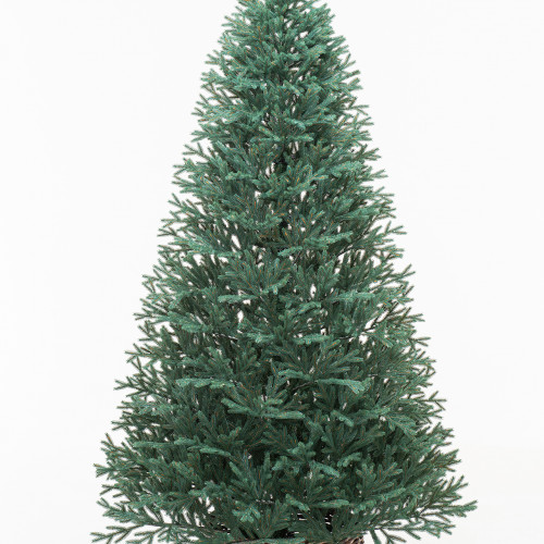 Искусственная елка Грация 240 см., 100% литая хвоя, ЕлкиТорг (164240) в Санкт-Петербурге