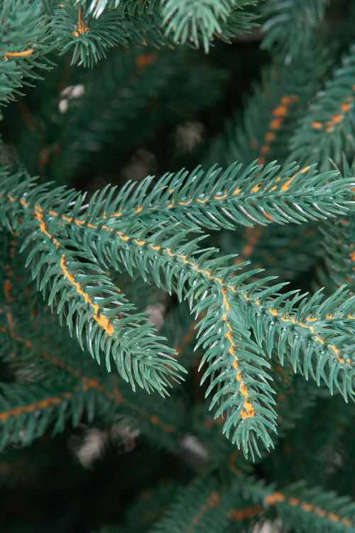 Искусственная елка Грация 240 см., 100% литая хвоя, ЕлкиТорг (164240)