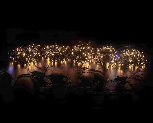 Комплект гирлянды на деревья, 100 м., 5 лучей по 20 м., 1000 теплых белых LED, 24В, IP 54, мерцание, черный провод, TeamProf (TPF-S5*20F-B/WW)