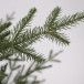 Ель Французская 215 см., 100% Литая хвоя, TreeDeLux (70079) в Санкт-Петербурге