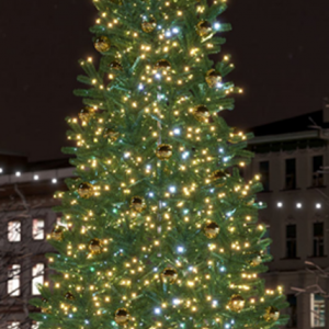 Новогодняя уличная ель «Золотые искры» - 7 м. Conso