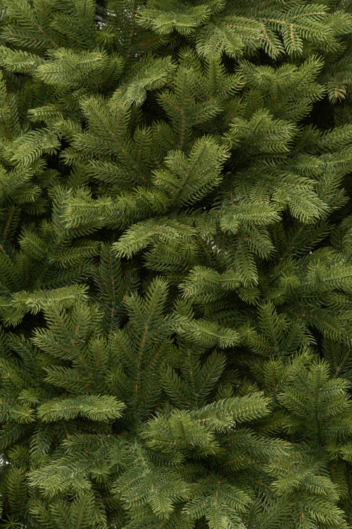 Искусственная елка Эрмитажная 270 см., 100% литая хвоя, ЕлкиТорг (94270)