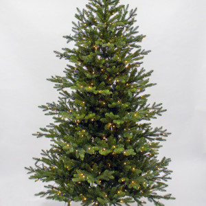 Ель Ирландская с лампочками 365 см., 1104 LED лампы, литая хвоя+пвх, Black Box (74395)