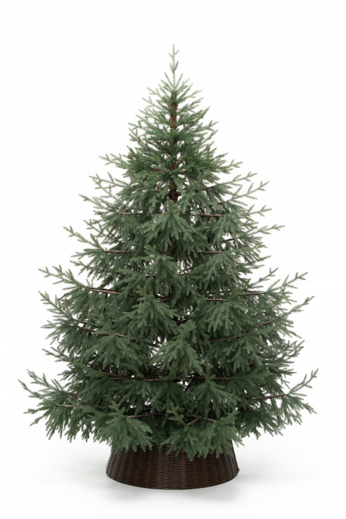 Искусственная елка Заповедная 240 см., 100% литая хвоя, ЕлкиТорг (267240)  в Санкт-Петербурге