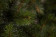 Елка Лесная Красавица 120 см., леска+пвх, Triumph Tree (73271)
