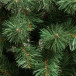 Искусственная елка Европейская 180 см., мягкая хвоя, ЕлкиТорг (41180)