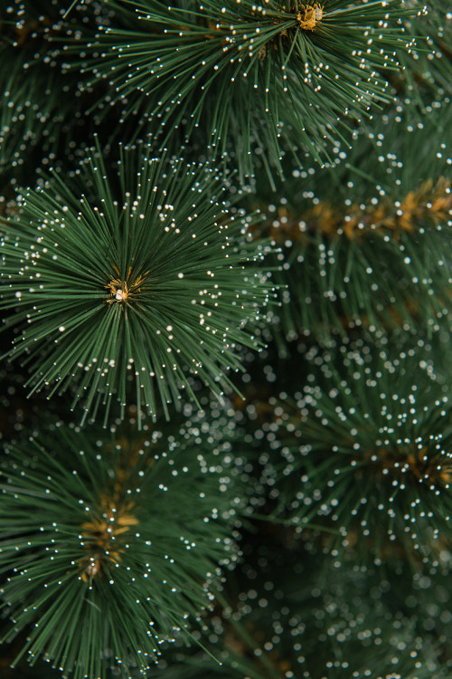 Искусственная сосна Полярная в мешочке 45 см., Леска, ЕлкиТорг (48045)