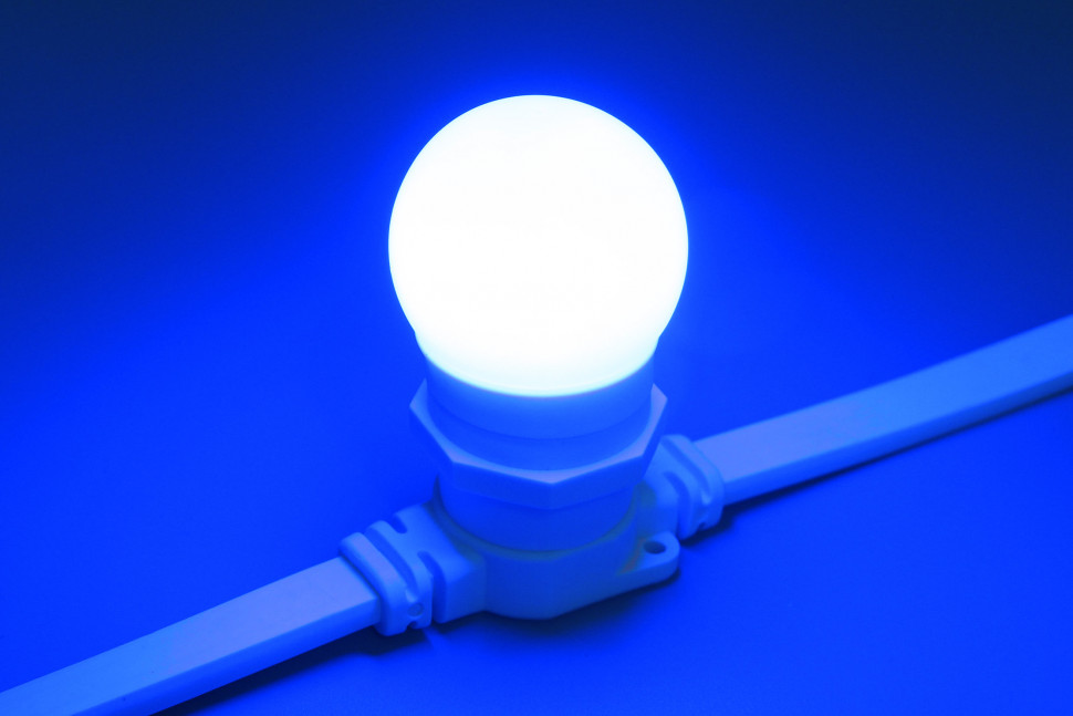 Светодиодная лампа для Белт-лайта синия, 45 мм., 2Вт, Е27, 220В, Teamprof (TPF-B-E27-G45-2W-B) в Белгороде