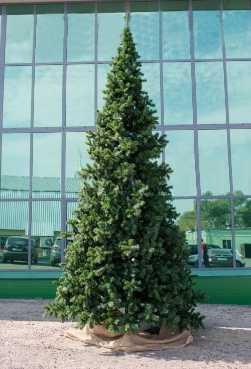 Интерьерная искусственная елка Клеопатра Премиум 3,5 м., ствольная, ПВХ, Green Trees (GT3,5KL)