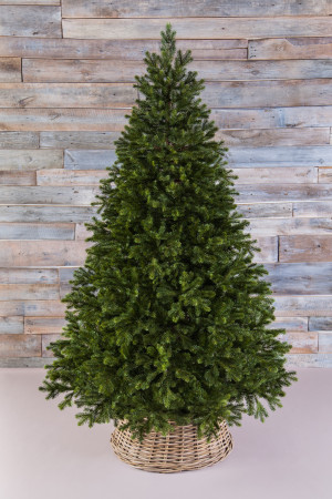 Можжевельник 185 см., зеленый, литая хвоя+пвх, Triumph Tree (72045)