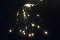 Светодиодная роса-хвост 2 м., 10 лучей, 200 теплых белых LED ламп, зеленый провод, Winner Light (ww.18.4G.200)