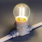 Светодиодная лампа для Белт-лайта теплая белая, филамент, 45 мм., 2Вт, Е27, 220В, Teamprof (TPF-B-E27-G45T2-2W-TWW)