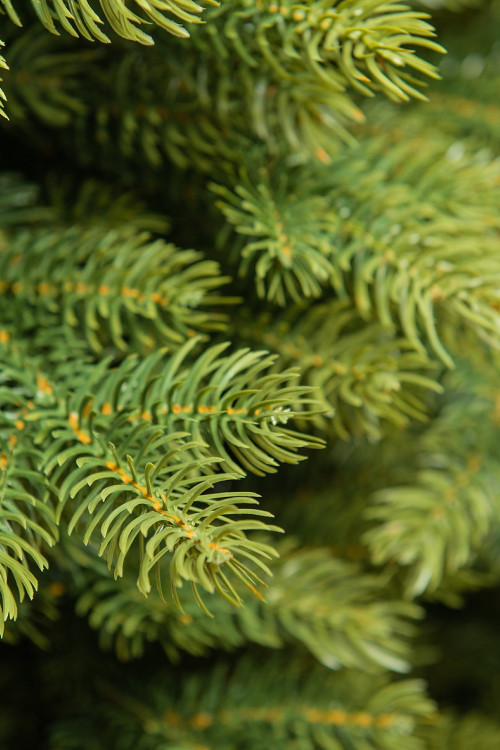 Искусственная елка Графская Премиум 90 см., 100% литая хвоя, ЕлкиТорг (44090)