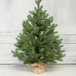 Искусственная елка Графская Премиум 90 см., 100% литая хвоя, ЕлкиТорг (44090)
