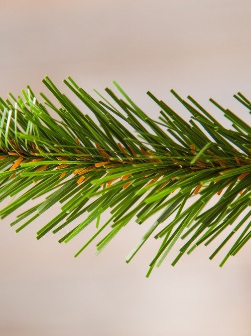 Елка Императрица с шишками 200 см., мягкая хвоя, Triumph Tree (73262)