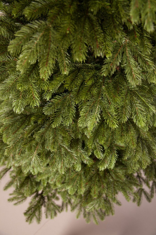 Ель Коттеджная 230 см., литая хвоя+пвх, TreeDeLux (70074)