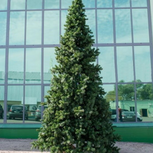 Интерьерная искусственная елка Клеопатра Премиум 5 м., ствольная, ПВХ, Green Trees (GT5KL)