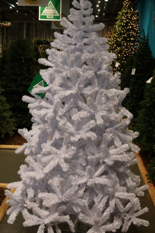 Елка Исландская белоснежная 365 см., интерьерная, мягкая хвоя, Triumph Tree (73095)