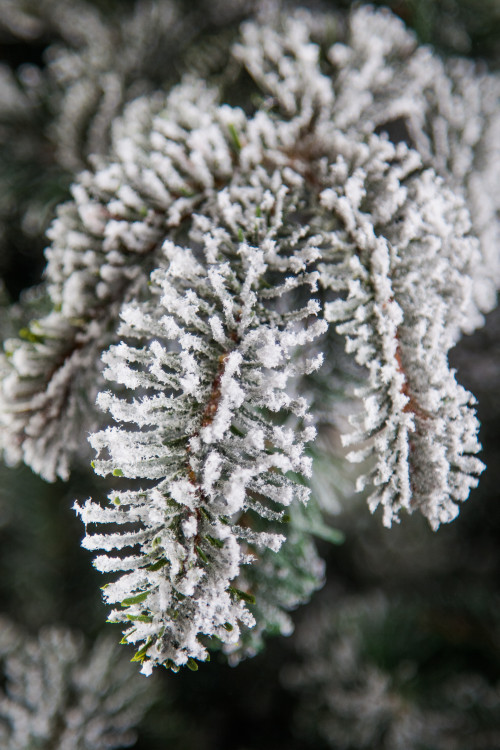 Ель искусственная Стильная заснеженная 155 см., литая хвоя+пвх, Black Box (74467)