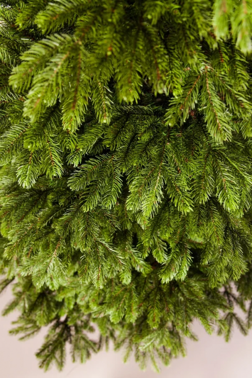 Ель Коттеджная 260 см., литая хвоя+пвх, TreeDeLux (70075) в Санкт-Петербурге