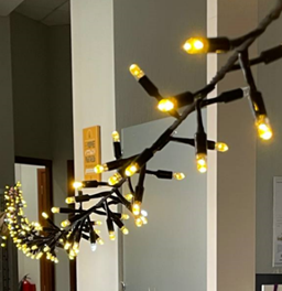 Светодиодная нить Мишура 10 м., 300 LED, 220 В, тёплая белая, статика, чёрная резина 2,3мм., TeamProf (TPF-10C/300-220V-SRB-WW) в Санкт-Петербурге