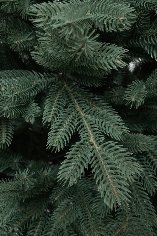 Искусственная елка Балтийская голубая 180 см., 100% литая хвоя, ЕлкиТорг (243180)