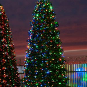  Комплект освещения Динамика для елей высотой 4 м., 720 LED, 6 шт.*12 м., Green Trees (Dinamika4)