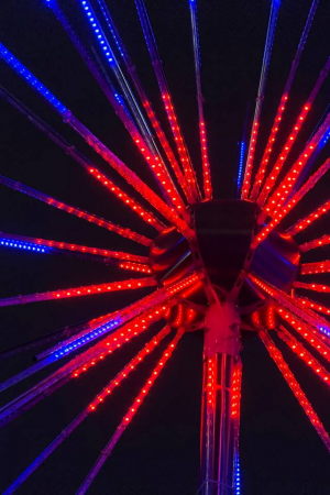 Светодиодная Фигура Фейерверк 2.4 м., 24В, 1512 RGB LED, мерцание, IP65, LTC (FRW-240-T42)