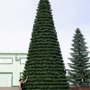 Уличная елка Испанская зеленая 13 м., каркасная, ПВХ, Green Trees (GT13ISPVC)