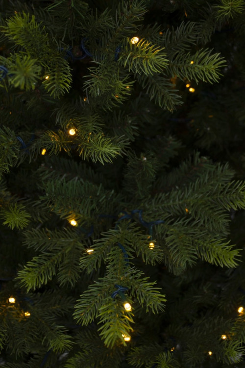 Искусственная елка Датская с лапочками 260 см., 744 LED лампы, литая хвоя+пвх, Black Box (74390)