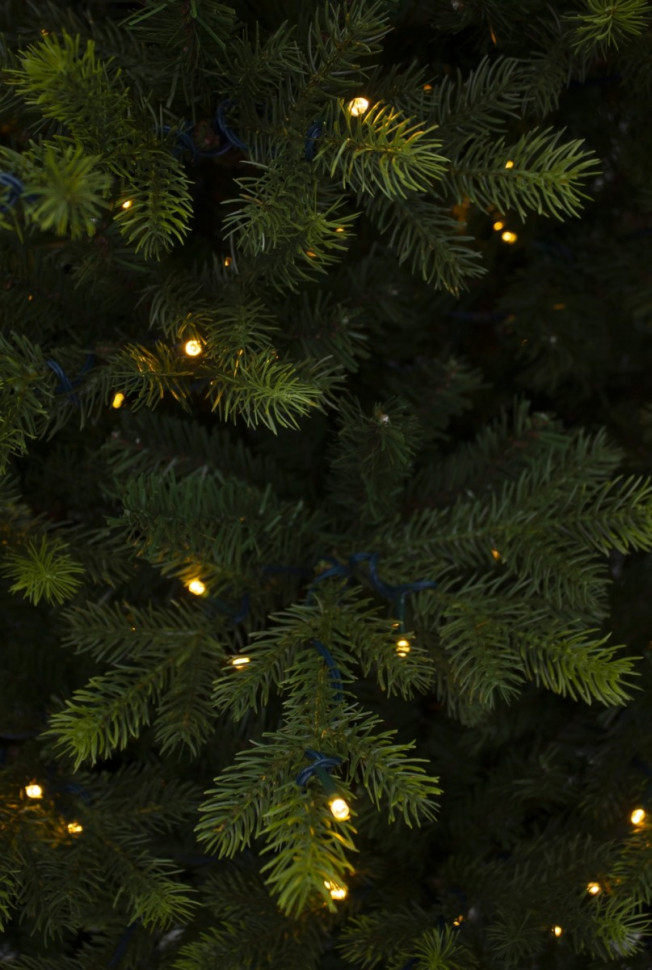 Искусственная елка Датская с лапочками 260 см., 744 LED лампы, литая хвоя+пвх, Black Box (74390)