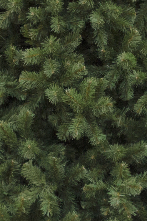 Сосна Клеопатра PREMIUM 5.5 м., ствольная, ПВХ. ЕлкиТорг (61550)