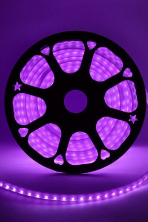 Неон торцевой 14*10 мм., 220V, пурпурные LED лампы 100 шт на 1 м, бухта 50 м, Beauty Led (LCT-2PU)