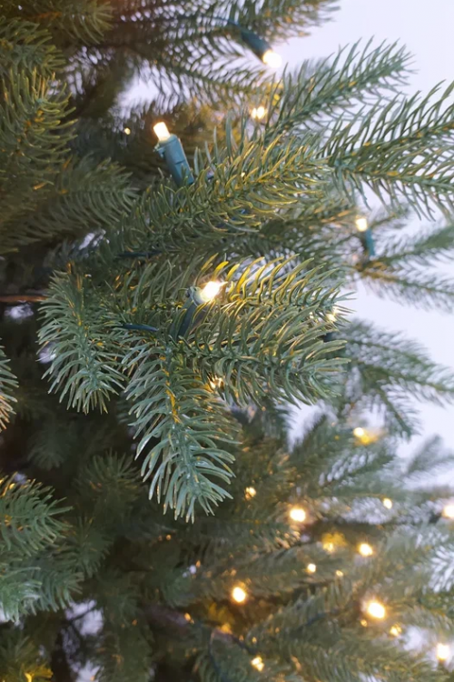 Искусственная елка Швейцарская 230 см., 340 теплых белых LED ламп, 100% литая хвоя, Black Box (74600)