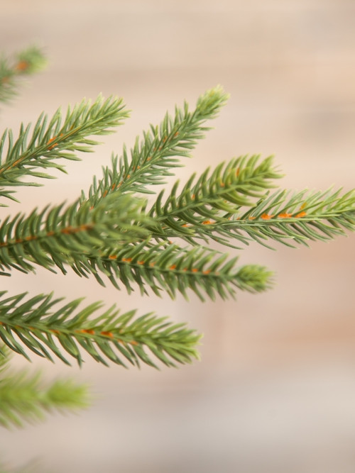 Ель Королевская стройная 260 см., 100% литая хвоя, TreeDeLux (TDL)(70030)