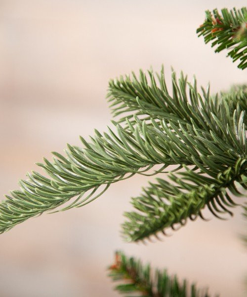 Елка Нормандия 305 см., интерьерная, литая хвоя+пвх, Triumph Tree (73782)