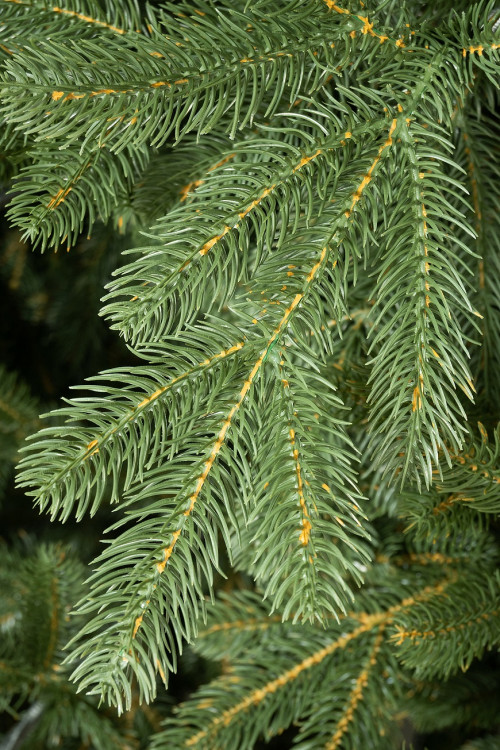 Искусственная елка Городская 6 м., 100% литая хвоя, ЕлкиТорг (197600)