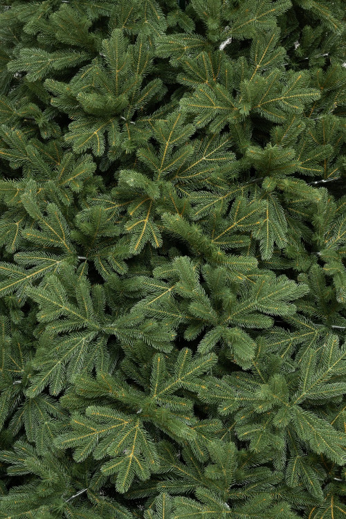 Искусственная елка Городская 6 м., 100% литая хвоя, ЕлкиТорг (197600)