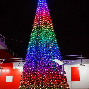 Комплект освещения 3D Премиум для елей высотой 22 м., 64 шт. * 22 м., Green Trees (3D22)