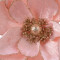 Магнолия Ла-Рошель, розовый 22х5 см., Kaemingk (629517/1)