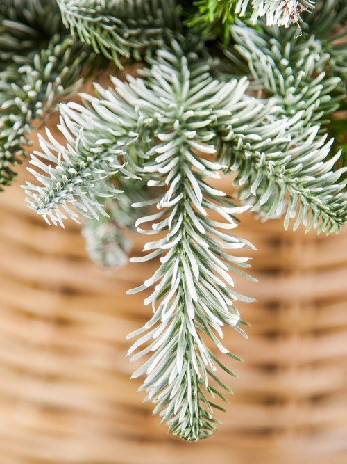 Елка Нормандия пушистая заснеженная 185 см., литая хвоя+пвх, Triumph Tree (73531)