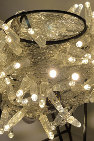 Светодиодная нить 100 теплых белых LED ламп, 10 м., 24В, статика, прозрачный провод ПВХ, Teamprof (TPF-S10C-24V-CT/WW)