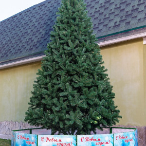 Искусственная сосна Афина PREMIUM 5 м., ствольная, уличная, ПВХ, ЕлкиТорг (59500)