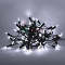 Светодиодная нить Самоцветы 100 холодных белых LED ламп, 10 м., 220В, зеленый провод, Beauty Led (SAM100-13-2W)